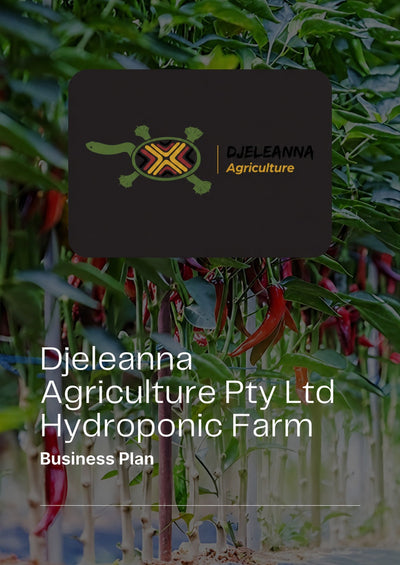 Djeleanna Agriculture Business Plan - Case Study