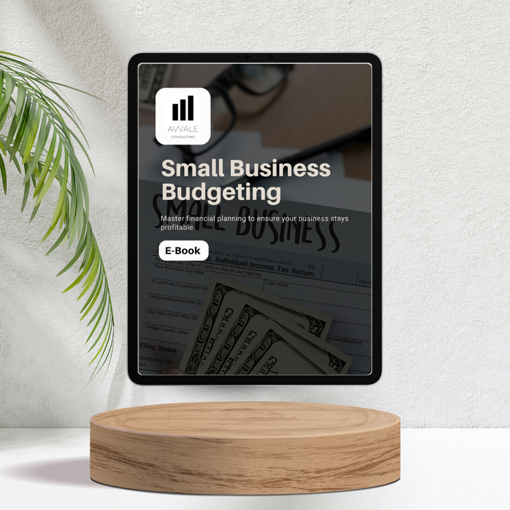 Small Business Budgeting for Startups, Entrepreneurs and Small Businesses - E-book