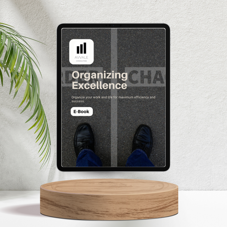 Organising Excellence for Startups, Entrepreneurs and Small Businesses - E-book