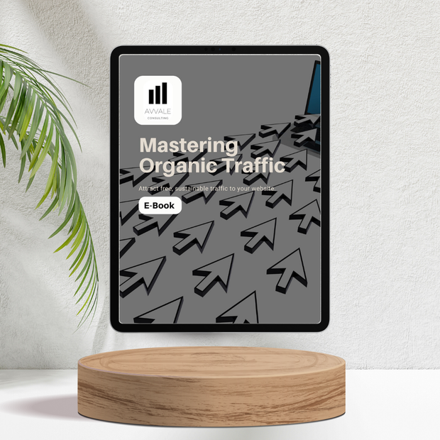 Mastering Organic Traffic for Startups, Entrepreneurs and Small Businesses - E-book