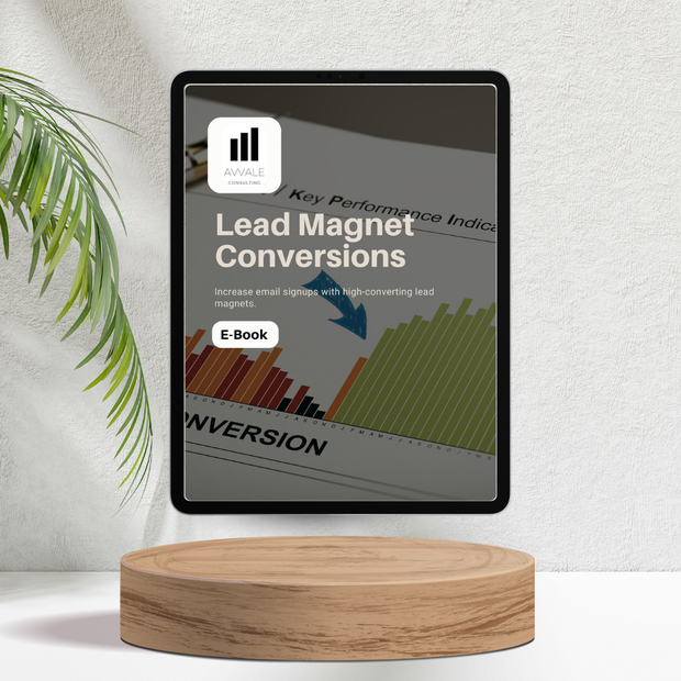 Lead Magnet Conversions for Startups, Entrepreneurs and Small Businesses - E-book