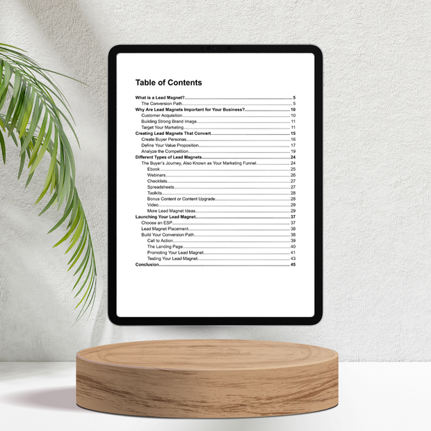 Lead Magnet Conversions for Startups, Entrepreneurs and Small Businesses - E-book