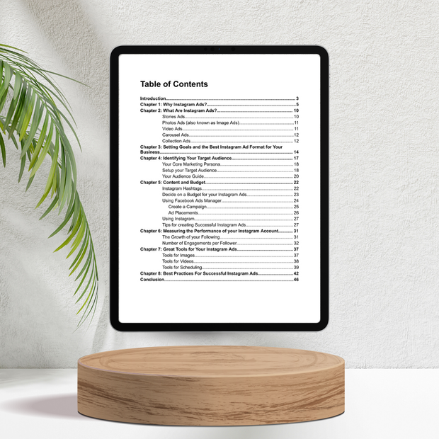 Instagram Ads Success for Startups, Entrepreneurs and Small Businesses - E-book
